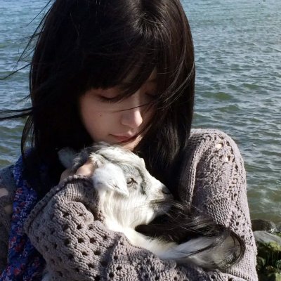 精灵宝可梦：神速的灭世虫盖诺赛克特超梦觉醒粤语