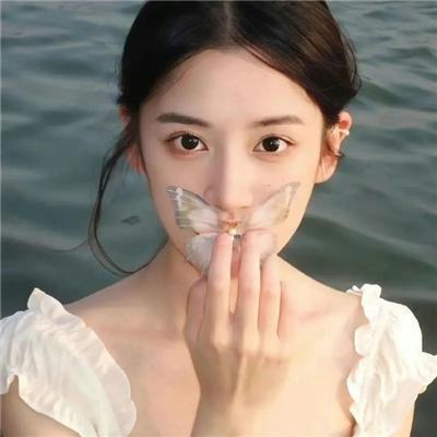 企鹅之岛：福克兰